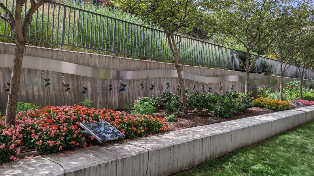 C.S. Mott Children's Hospital Butterfly Garden